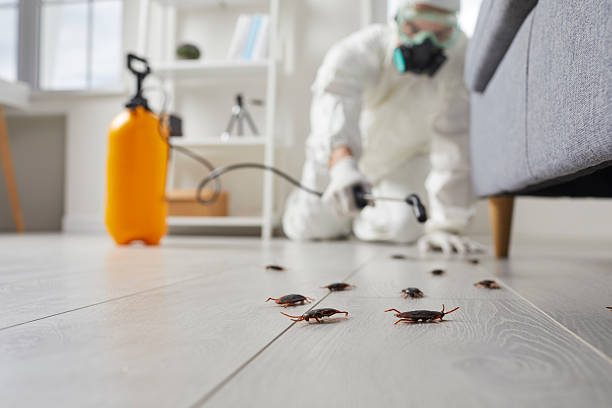 Commercial Kitchen Cockroach Control in Boutte
